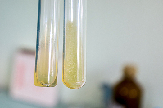 Победитель олимпиад по химии создал нарколабораторию