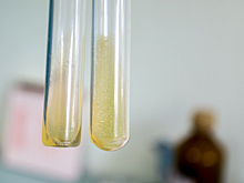 Победитель олимпиад по химии создал нарколабораторию