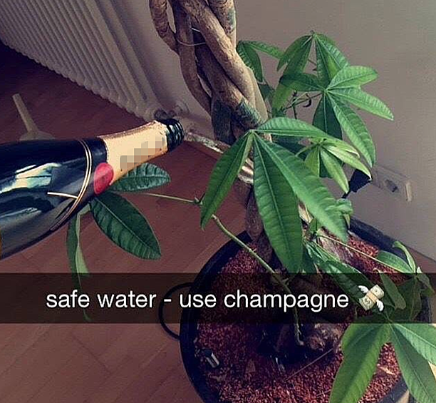 Сохрани воду - используй шампанское 