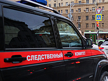 Следователи решили проверить возможную фальсификацию в деле «Омбудсмена полиции»