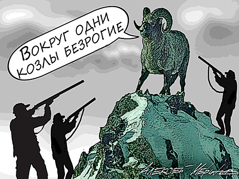 Российским богачам нужны рога: путоранские бараны стали героями «фильма ужасов»
