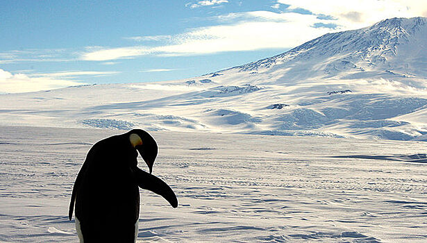 Названа возможная причина таяния льдов в Антарктиде