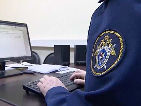 Суд оштрафовал признавших вину во взломе телеграм-канала Блиновской
