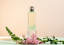 Сами с носами: какие ароматы делают российские парфюмерные ателье