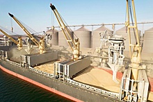 Зернин: экспорт зерновых ожидается на уровне 55-60 млн тонн