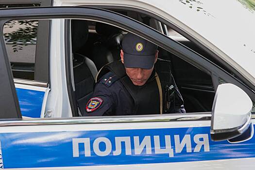 Появились новые подробности о сбившем насмерть россиянина на ретровелосипеде грузовике