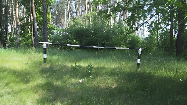 Под Курском незаконно вырубили лес на 69 тысяч рублей
