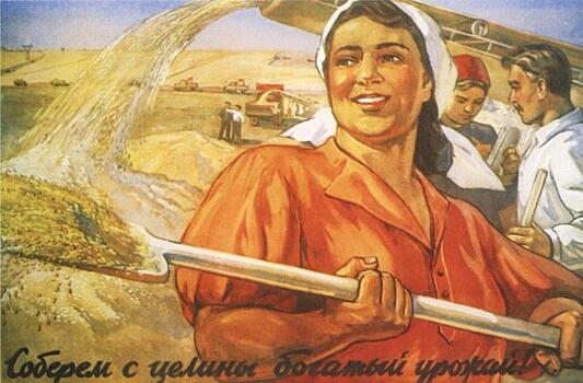 Неестественный отбор: молодых на работу берут охотнее, чем профессионалов в возрасте