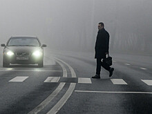Леус: первая декада ноября займет второе место в списке самых теплых в Москве