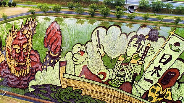 Искусство тамбо — невероятные картины на рисовых полях Японии
