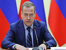 Медведев посоветовал Гашеку аккуратно переходить дорогу и посещать психиатра