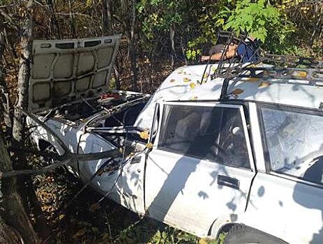 В Жигулевске легковушка врезалась в дерево после столкновения с грузовиком