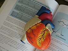 Малышева предупредила о смертельной опасности пищевой аллергии