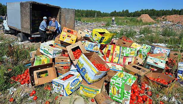 В РФ уничтожили почти 26 тысяч тонн санкционных продуктов