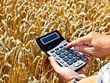 Аграрии Воронежской области получили господдержку на 2,5 млрд рублей