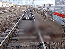 Следователи устанавливают обстоятельства гибели амурчанина на железной дороге
