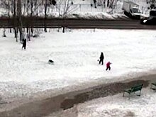 Нападение собаки на двоих маленьких детей в Подмосковье попало на видео