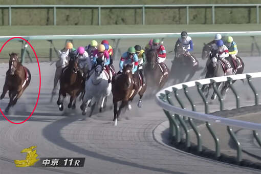 В Японии скаковая лошадь без жокея выиграла гонку