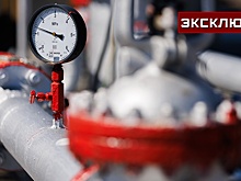 Эксперт объяснил, почему Киев идет на обострение отношений с Венгрией