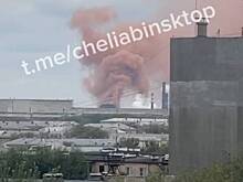 Огромный столб дыма поднялся над российским заводом и попал на видео
