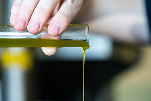 КФУ запустил линию отжима оливкового масла на итальянском оборудовании