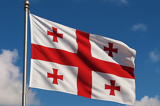 В Тбилиси неожиданно заявили о дезинформационной атаке со стороны ЕС