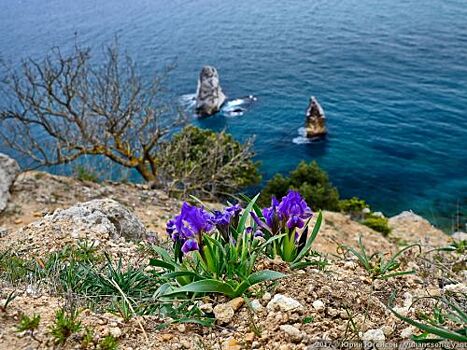 Семь крымских курортов – в ТОП–10 самых популярных для отдыха в марте 2020