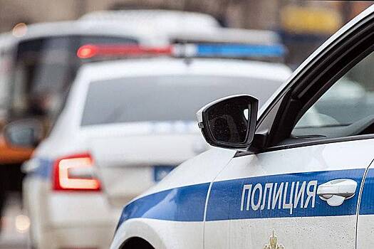 Погоня сотрудников ГИБДД за пьяной россиянкой закончилась стрельбой