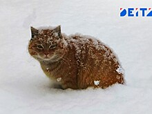 Приморье войдет в теплый сектор циклона