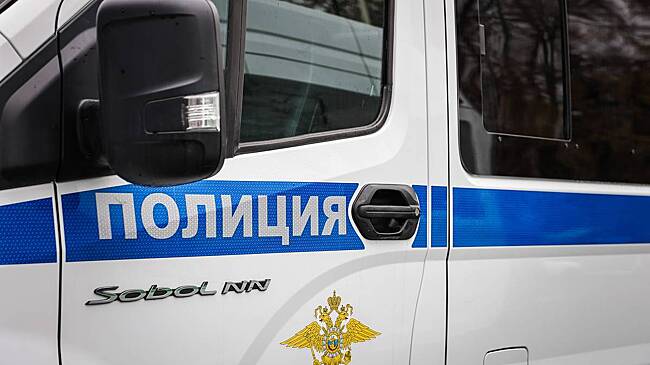 Совершившего поджог в московском ТЦ «Авиапарк» доставили в отдел полиции