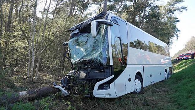 Вблизи Сочи автобус с детьми попал в аварию