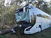 Вблизи Сочи автобус с детьми попал в аварию