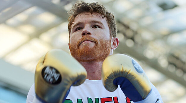 Альварес не выйдет на ринг в сентябре