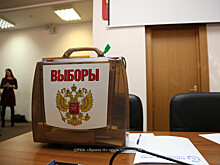 Единороссы определили победителей праймериз в Нижнем Новгороде
