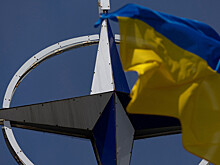 В Нидерландах заявили о неготовности Украины вступить в НАТО