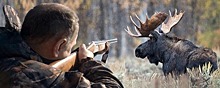 Помощник врио руководителя Самарской области может пойти под суд за незаконную охоту