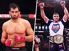 Гегард Мусаси — Вадим Немков, Мусаси — Шлеменко, решение судей, чемпион Bellator