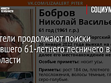 Спасатели продолжают поиски пропавшего 61-летнего лесничего в Ленобласти
