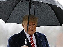 Британский посол назвал Трампа «некомпетентным»