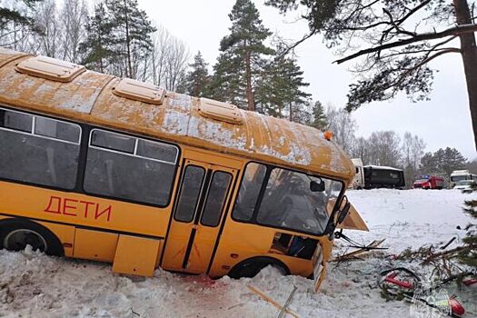В ДТП с автобусом в Псковской области пострадали 13 детей