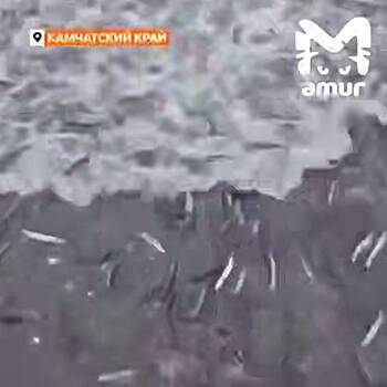 Усеянный живой рыбой берег в российском регионе попал на видео