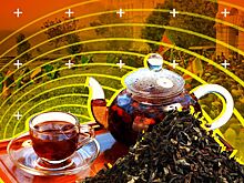 Беспорядки на Шри-Ланке могут вызвать повышение мировых цен на чай