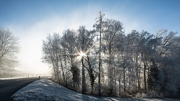 Саратовцев ждут туман и гололед в понедельник