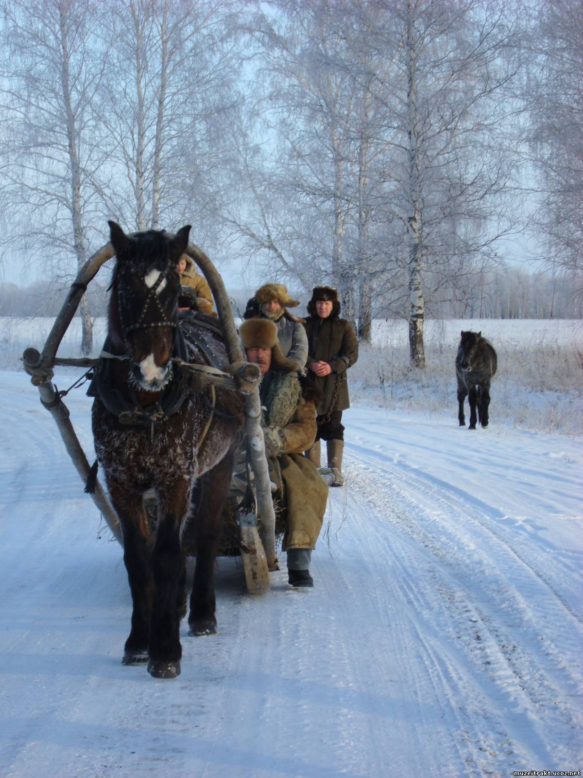 Музей-заповедник «Московско-Сибирский тракт», Омск, Россия, Европа