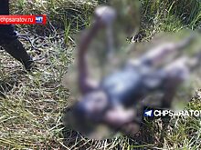 Под Саратовом водолазы вытащили тело мужчины из водоема