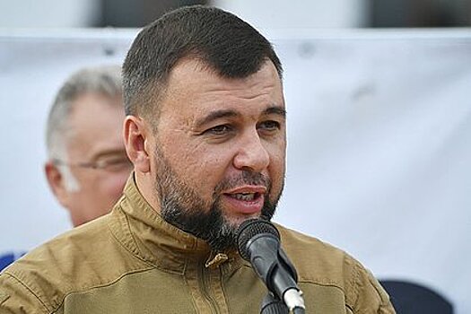 Пушилин заявил о группировке серьезных сил ВСУ на севере ДНР
