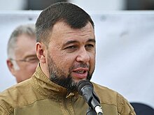 Пушилин заявил о группировке серьезных сил ВСУ на севере ДНР