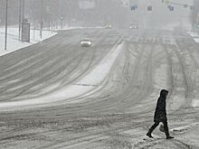 В России призвали продлить нерабочую неделю