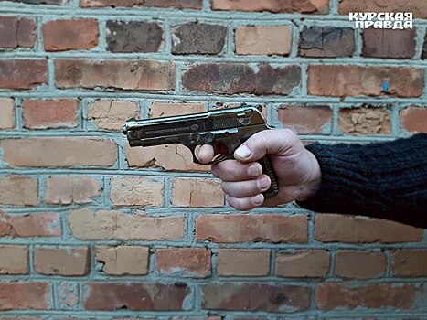 Курянин угрожал пистолетом сотруднику ЧОПа из-за помятой травы