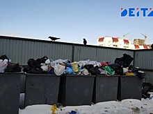 Несуществующее отсутствие проезда мешает подрядчику ПЭО вывозить мусор с территории сельской школы